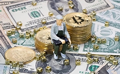 108个泉侨和外国泉商项目聚集在一起 现场签约54个投资项目